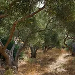 Vito Villa